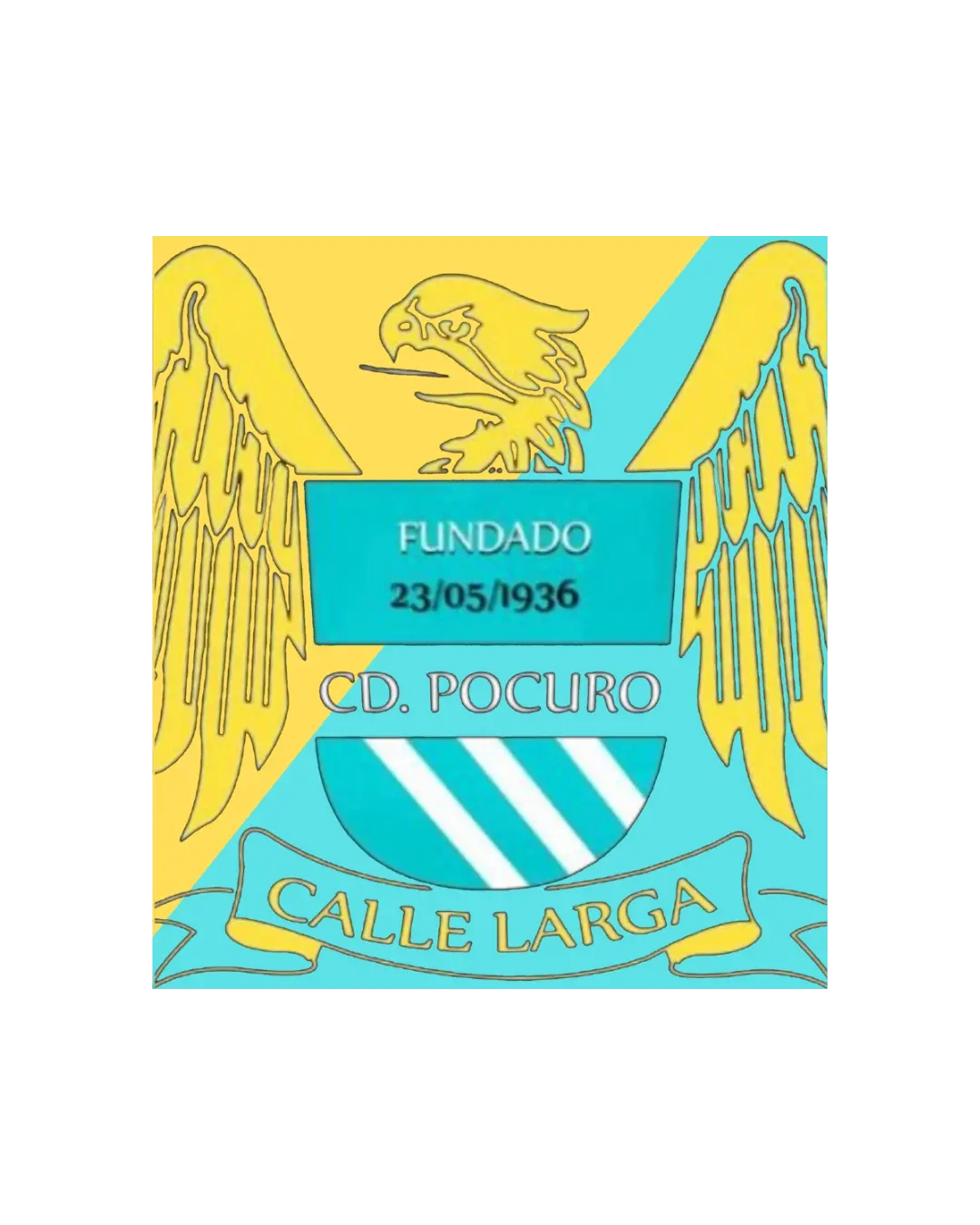 club deportivo pocuro